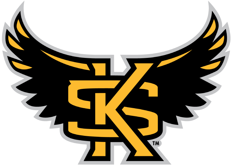 Kennesaw State Owls 2012-Pres Alternate Logo t shirts DIY iron ons